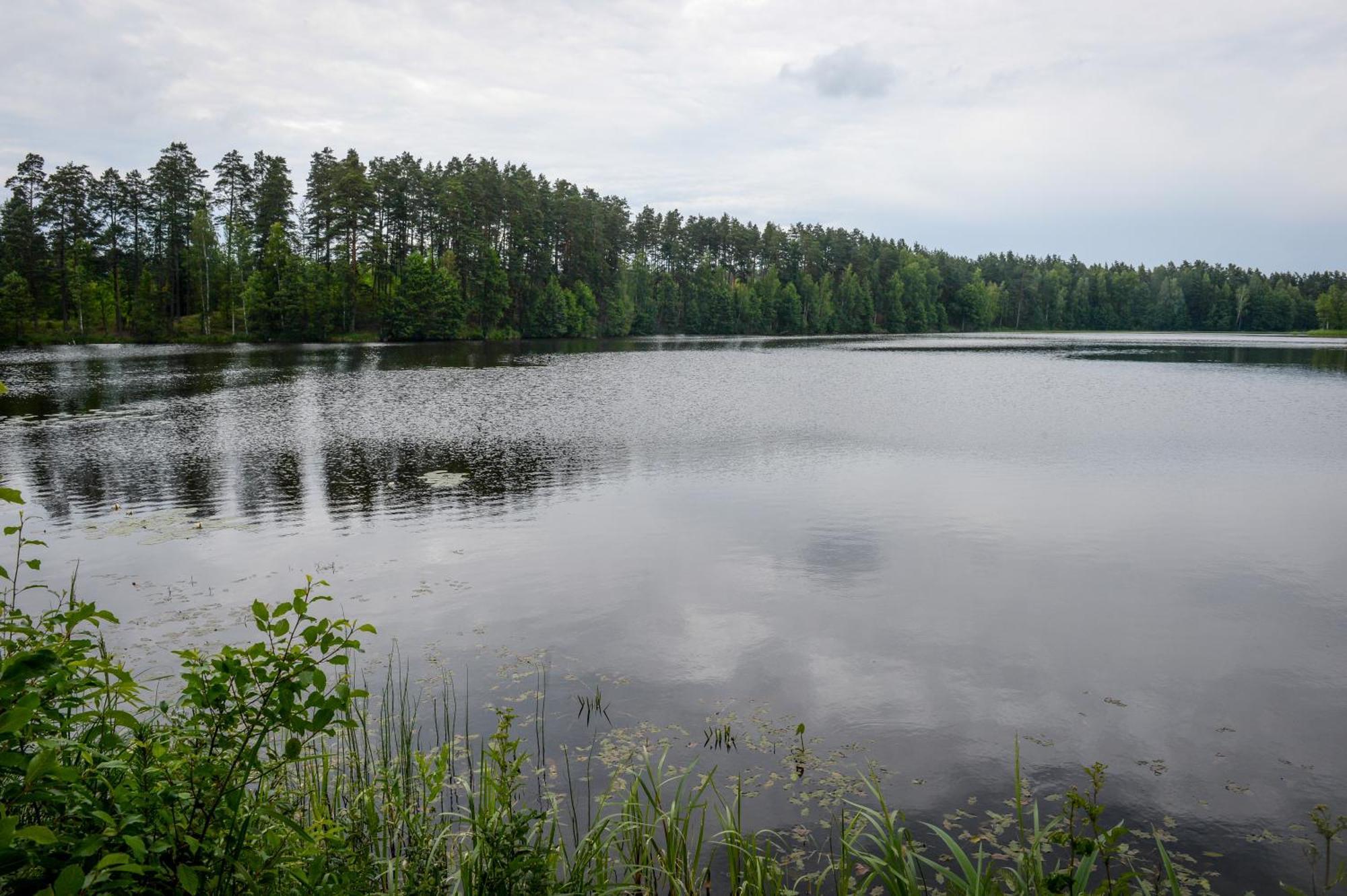 Alberta Diki Upesciems Rom bilde